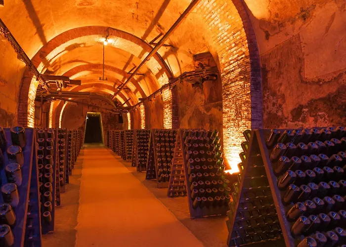 Champagne Central - Exceptionnel 3 Chambres